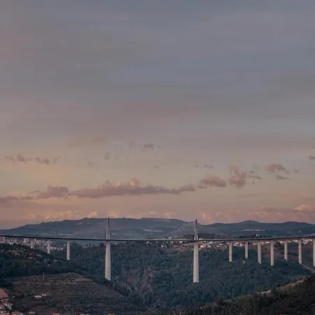 Mw Douro Wine &