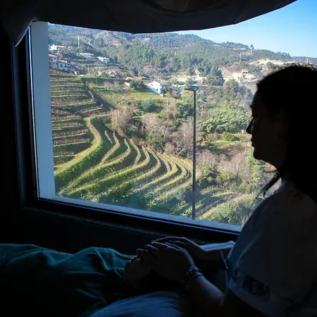 Mw Douro Wine & מלון