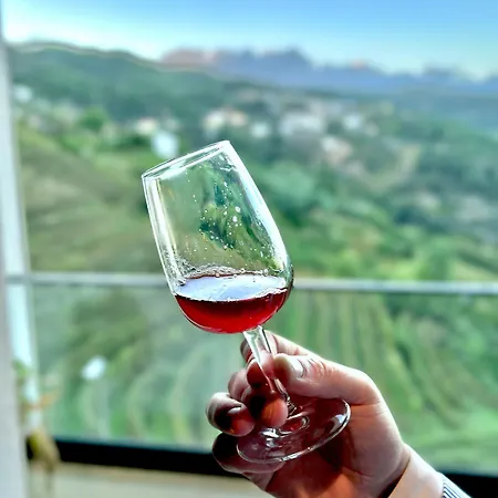 Mw Douro Wine & Santa Marta de Penaguião