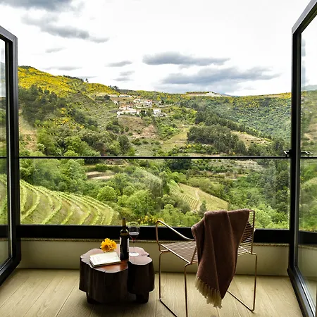 Mw Douro Wine & 酒店 5*
