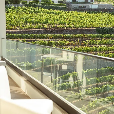 酒店 Mw Douro Wine &