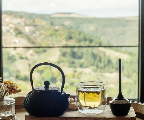 Mw Douro Wine&spa 5*