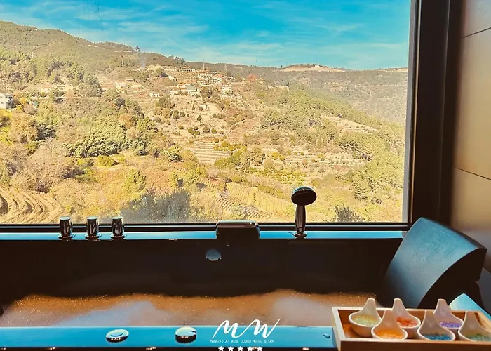 Mw Douro Wine & Hotel