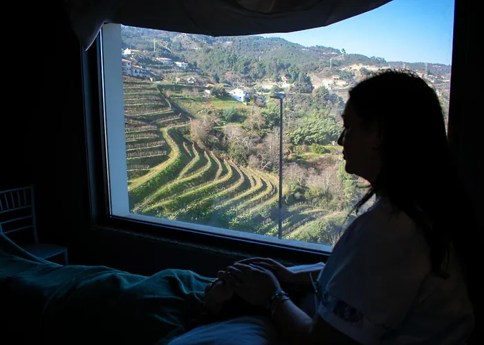 Mw Douro Wine & Hotel